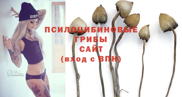винт Аркадак