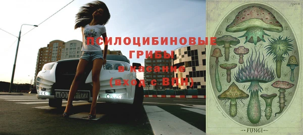 прущая мука Арсеньев