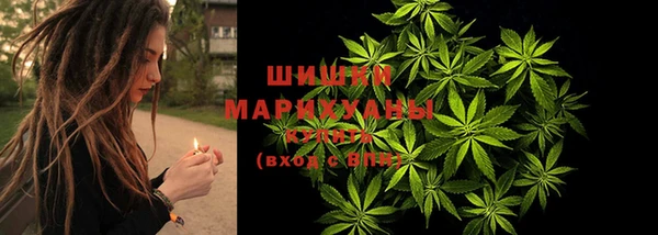 прущая мука Арсеньев