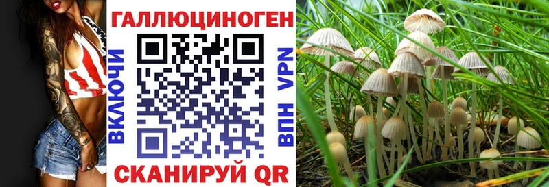 где можно купить   гидра ONION  Псилоцибиновые грибы мицелий  Магас 